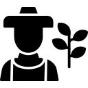 刘海